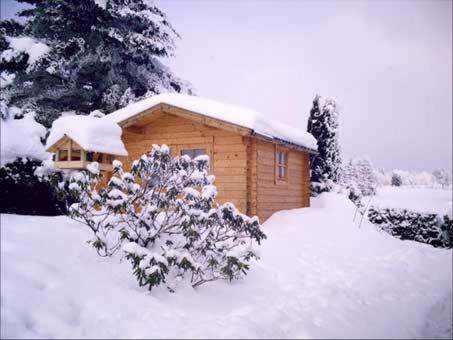 Apartment Jungst Winterberg Exterior foto